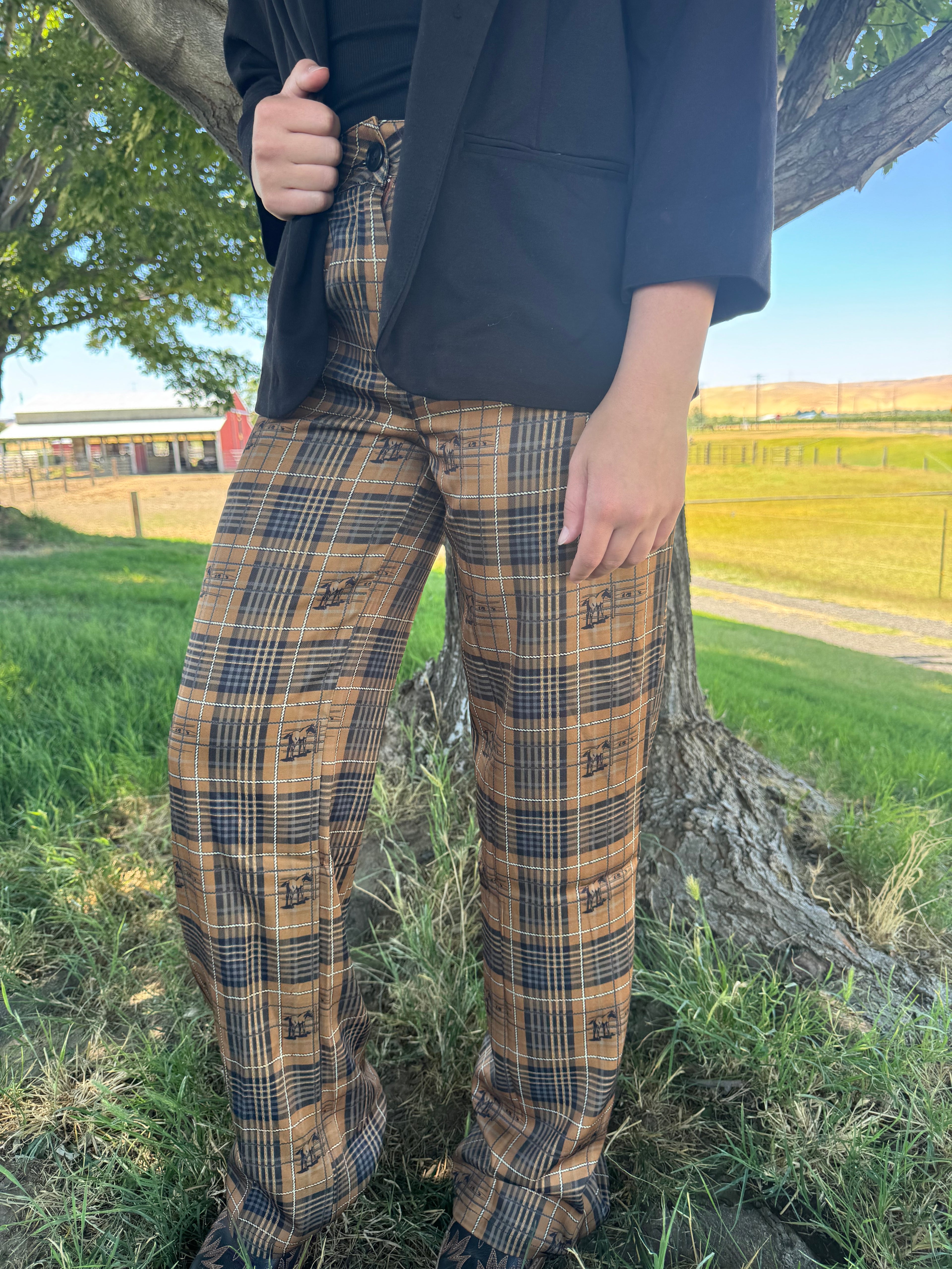 The Boardroom Trousers