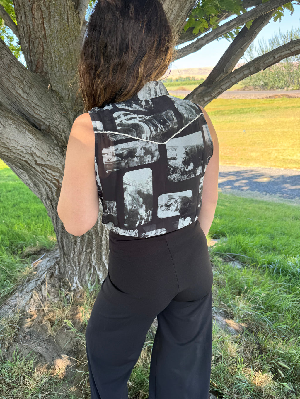 The Bull Dancer Tank