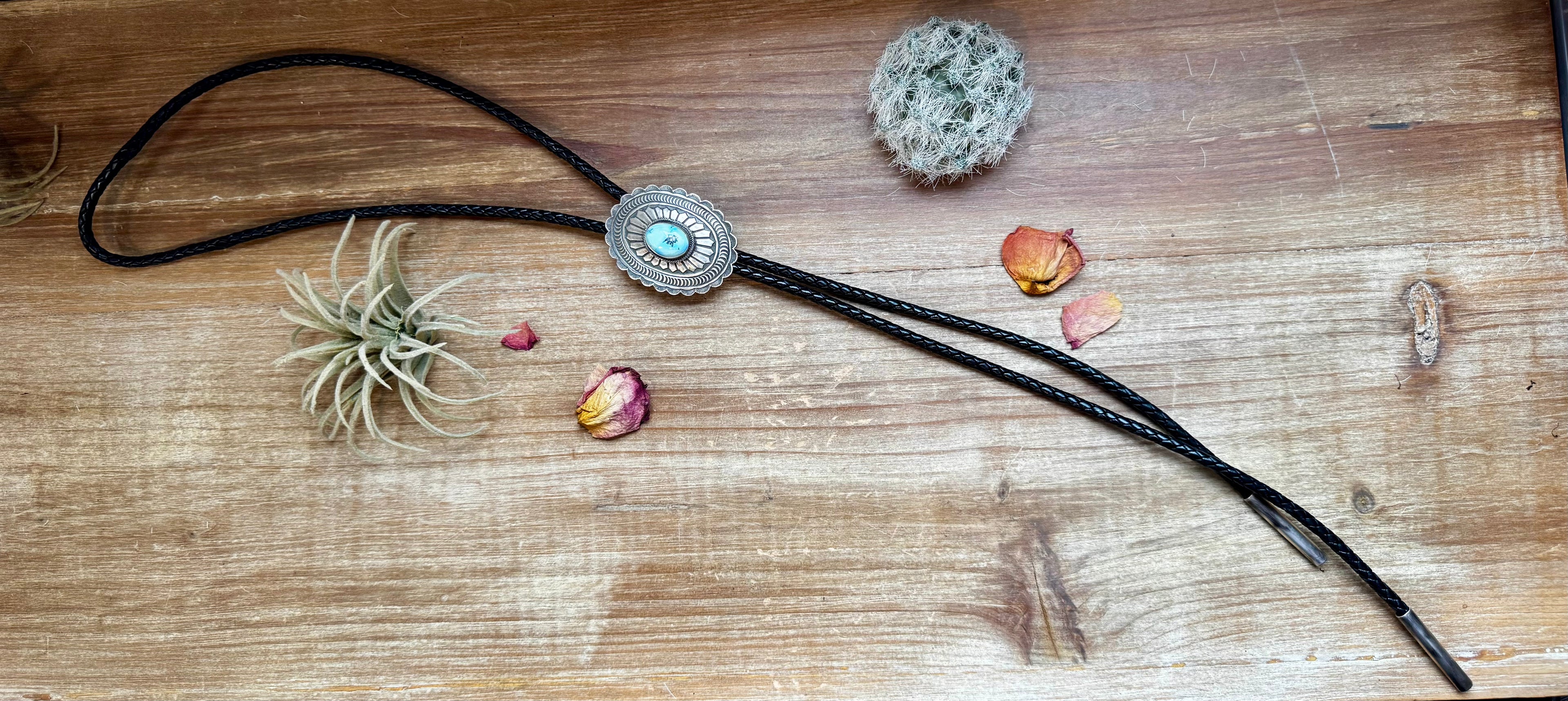 The Golden Hill Bolo