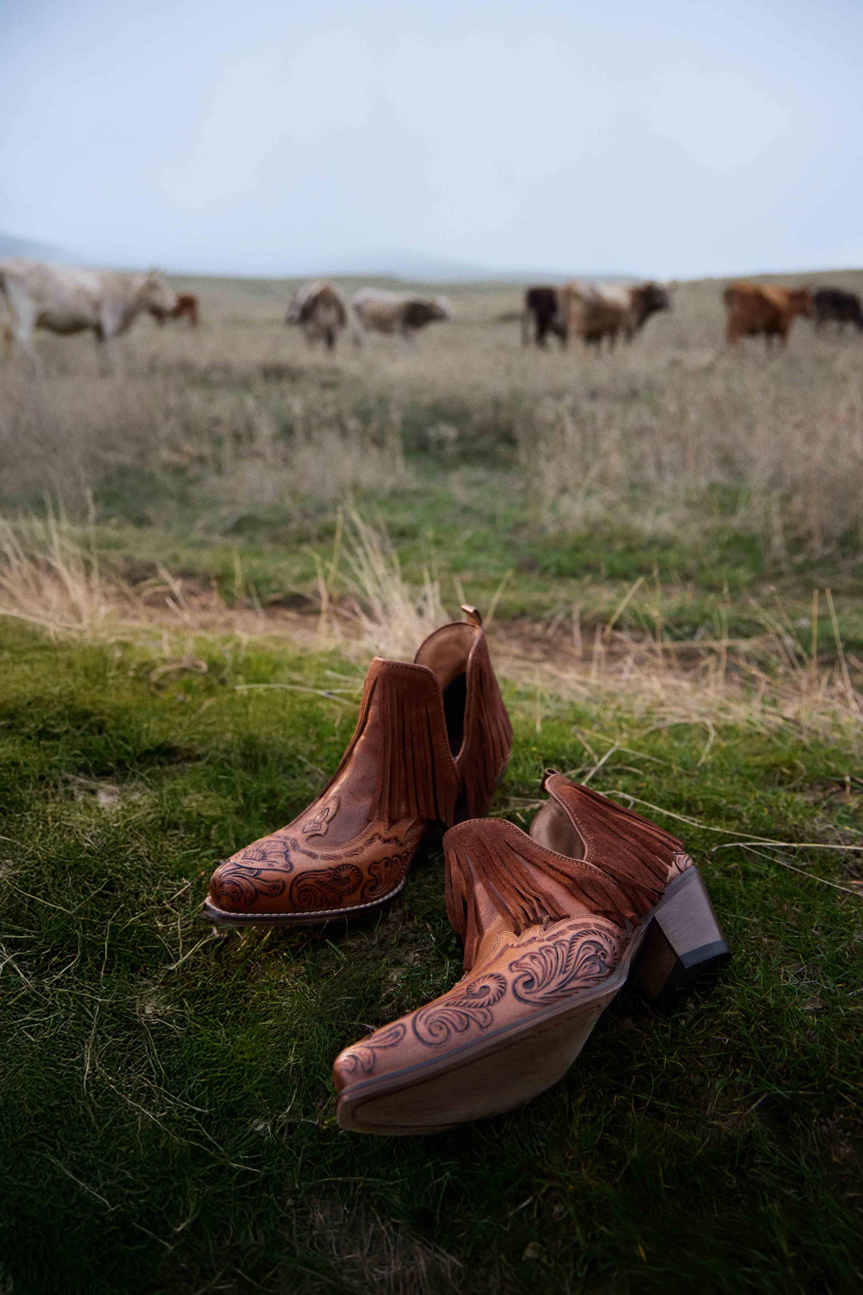 The Cimarron Bootie - Brown